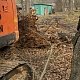 Расчистка территории парка в селе имени Льва Толстого Калужской области